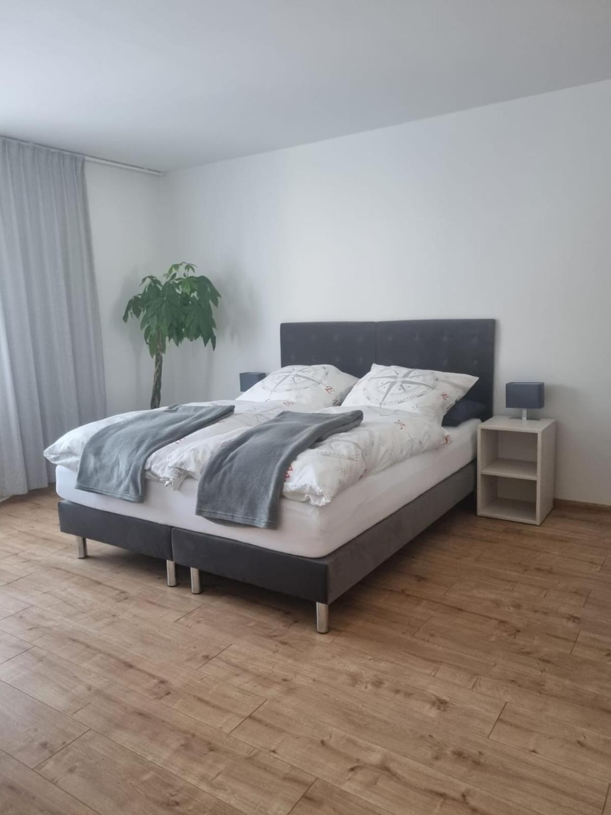 Gaestehaus Windrose Фихтелберг Екстериор снимка