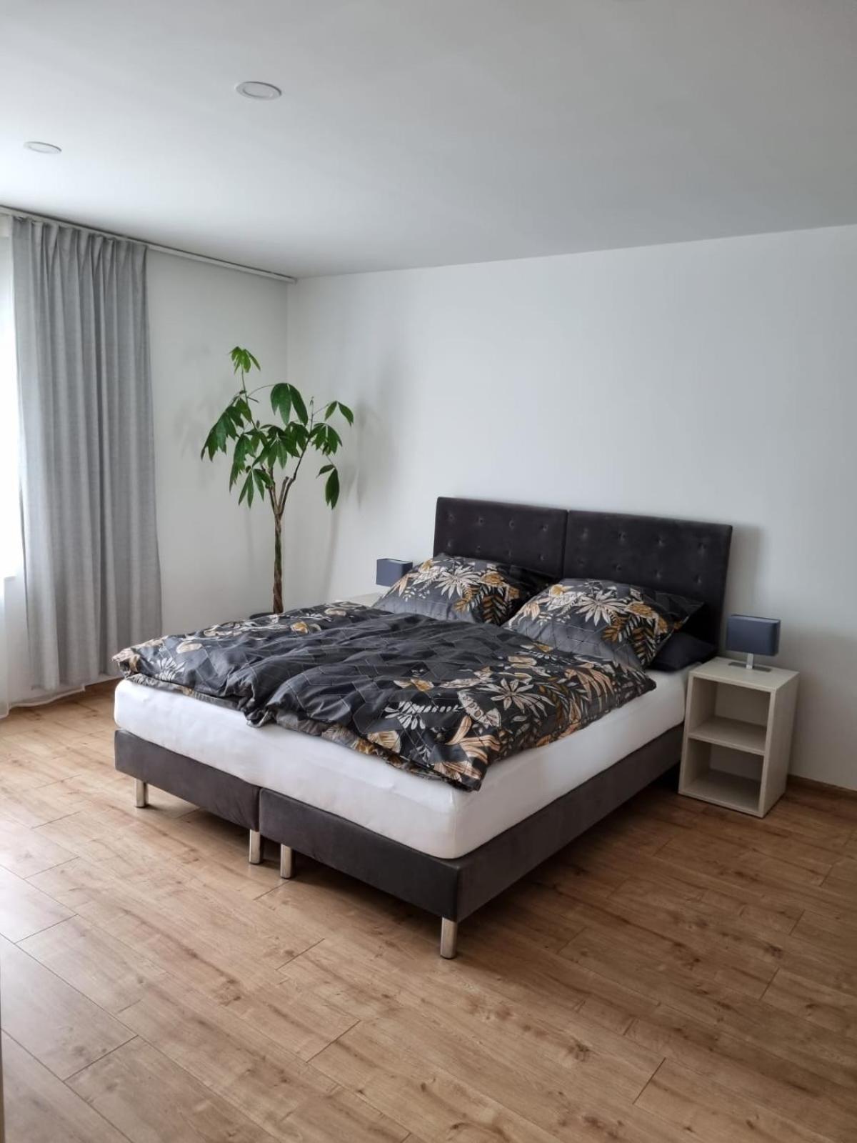 Gaestehaus Windrose Фихтелберг Екстериор снимка