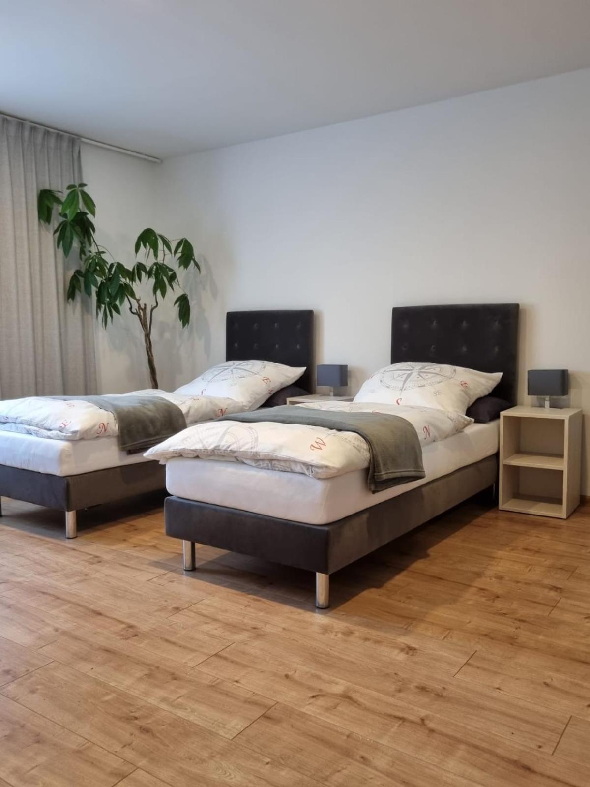 Gaestehaus Windrose Фихтелберг Екстериор снимка